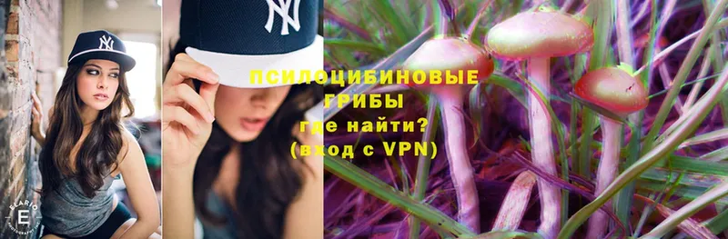 omg ССЫЛКА  Прокопьевск  Псилоцибиновые грибы MAGIC MUSHROOMS  как найти наркотики 